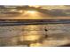 A bird stands at the shoreline as the sun streams through the clouds at the beach at 1504 N Atlantic Ave, Daytona Beach, FL 32118
