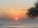 Ocean view with palm trees at sunrise at 1504 N Atlantic Ave, Daytona Beach, FL 32118
