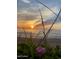 Beautiful sunrise over the ocean, seen through native vegetation on the beach at 2727 N Atlantic Ave # 602, Daytona Beach, FL 32118