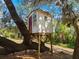 Whimsical treehouse perched on a tree branch, surrounded by lush greenery and Spanish moss at 37918 N County Road 44A, Eustis, FL 32736