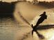 Water skier silhouetted against sunset on a glistening lake surrounded by trees, creating a picturesque and active lifestyle scene at 37918 N County Road 44A, Eustis, FL 32736