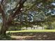 Exterior home view featuring a huge old oak tree shading the property at 486 S Us Highway 1, Oak Hill, FL 32759