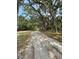 A view of a long drive with tall trees at 486 S Us Highway 1, Oak Hill, FL 32759