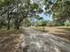 Scenic view of a property featuring mature trees, a long driveway, and a charming home in the distance at 486 S Us Highway 1, Oak Hill, FL 32759