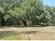 The image shows a large yard space with large mature shade trees, offering ample shade at 486 S Us Highway 1, Oak Hill, FL 32759