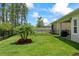 A backyard with a well-manicured lawn, complemented by a young palm tree and a black metal fence at 5539 Estero Loop, Port Orange, FL 32128