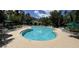 Community pool surrounded by umbrellas, lounge chairs and beautiful trees at 16 Hunt Master Ct, Ormond Beach, FL 32174