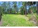 Spacious backyard featuring lush green grass and a border of dense trees at 915 Stonybrook Cir, Port Orange, FL 32127