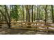 View of new wood fence surrounding the perimeter of a heavily wooded backyard at 3720 Willow Ave, Deland, FL 32720