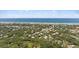 Stunning aerial view of homes near the ocean and lush greenery at 4901 Sailfish Dr, Ponce Inlet, FL 32127