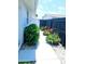 Landscaped walkway leads to a charming backyard featuring a vibrant garden with artistic spherical accents at 13 Sunrise Ave, Ormond Beach, FL 32176