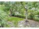 Spacious, green backyard, enclosed by a black fence, with mature trees providing shade at 25216 Ironwedge Dr, Sorrento, FL 32776