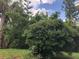 Lush backyard featuring vibrant greenery and mature trees for a serene outdoor experience at 33 Camellia Dr, Ormond Beach, FL 32176