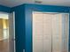 Bedroom closet with paneled doors and string lights on the trim at 3660 Daydream Pl, St Cloud, FL 34772
