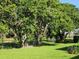 Lush backyard features mature trees, providing shade and privacy, creating a serene outdoor space at 1810 Western Rd, South Daytona, FL 32119