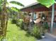 Lush backyard with a covered patio, complemented by vibrant greenery and tropical plants that create a serene outdoor space at 39 Benjamin Dr, Ormond Beach, FL 32176