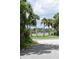 Residential street framed by palm trees and lush green vegetation, offering serene views to the adjacent water feature at 146 Via Madrid Dr, Ormond Beach, FL 32176