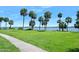 Expansive green backyard with palm trees leading to waterfront access under a clear blue sky at 1650 Riverside Dr, Daytona Beach, FL 32117