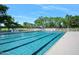Large community swimming pool surrounded by lush green trees and plenty of space to relax and unwind at 3132 Connemara Dr, Ormond Beach, FL 32174