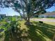 Front yard with tire swings hanging from a mature tree adding a whimsical touch to the property at 264 Sherwood Ln, Daytona Beach, FL 32117