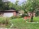 Charming single story brick home with lush lawn and mature trees. Deer in the yard at 1108 Northside Dr, Ormond Beach, FL 32174