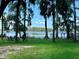 Serene backyard with lush lawn, tall palm trees, lake views, and relaxing seating area at 1162 Carmel Cir # 100, Casselberry, FL 32707