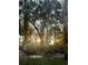 Lush landscape with palm trees and Spanish moss creating a serene and natural view at 1162 Carmel Cir # 100, Casselberry, FL 32707