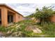 Exterior of a home's backyard featuring an overgrown yard, a wooden fence, and the home's exterior at 209 Falcon Ave, Edgewater, FL 32141