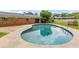Backyard boasts a refreshing pool with concrete deck, surrounded by lush landscaping at 950 Pineapple Rd, South Daytona, FL 32119