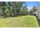 Spacious backyard with lush green grass and mature trees offering shade at 3029 Adrian Dr, Ormond Beach, FL 32174