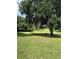 Spacious front yard with a large oak tree and a bench at 21342 S Buckhill Rd, Clermont, FL 34715