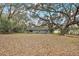 Ranch home with mature oak trees in the backyard at 21342 S Buckhill Rd, Clermont, FL 34715