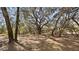 Heavily wooded homesite with mature trees providing plenty of shade and privacy at 23321 N Buckhill Rd, Howey In The Hills, FL 34737