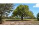 Expansive, lush green field featuring a mature, majestic tree providing ample shade on a sunny day at 23321 N Buckhill Rd, Howey In The Hills, FL 34737