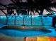 Inviting screened-in pool illuminated with colorful lights against lush landscaping at night at 1786 Red Clover Ln, The Villages, FL 32163