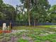 Wooded lot with chain link fence at 4422 Cr 690, Webster, FL 33597