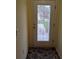 Front entry with decorative glass door and patterned rug at 9215 Se 177Th Simons Ln, The Villages, FL 32162