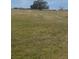 An expansive grassy field with scattered trees under a bright blue sky on a large lot at 10739 Fiesta St, Clermont, FL 34711