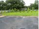 Large backyard with a paved area and established trees at 1817 Demastus Ln, Ocoee, FL 34761