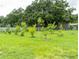 Lush backyard with a variety of young fruit trees at 1817 Demastus Ln, Ocoee, FL 34761