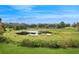 Picturesque view of a marshy pond surrounded by lush greenery at 26348 Se Highway 42, Umatilla, FL 32784