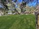 Open grassy area perfect for recreation and relaxation at 11635 Se Highway 42, Weirsdale, FL 32195