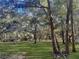 Sunny backyard with a picnic table and plenty of shade at 11635 Se Highway 42, Weirsdale, FL 32195