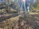 Spacious backyard with a view of trees and sunshine at 11635 Se Highway 42, Weirsdale, FL 32195