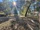 Open pasture with trees and a wooden fence at 11635 Se Highway 42, Weirsdale, FL 32195