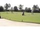Outdoor golf practice area with golfers, clubs, and clear green grass at 27227 Roanoke Dr, Leesburg, FL 34748