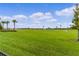 Open green space with a view of the golf course at 6867 Mickylee Run, The Villages, FL 34762