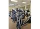 Modern fitness center equipped with cardio machines for resident use at 5206 Fantasy Way, Leesburg, FL 34748