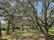 Scenic park with mature trees draped in Spanish moss and park benches for relaxing at 5206 Fantasy Way, Leesburg, FL 34748