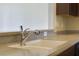 Modern kitchen sink and faucet at 34416 Tuscany Ave, Sorrento, FL 32776